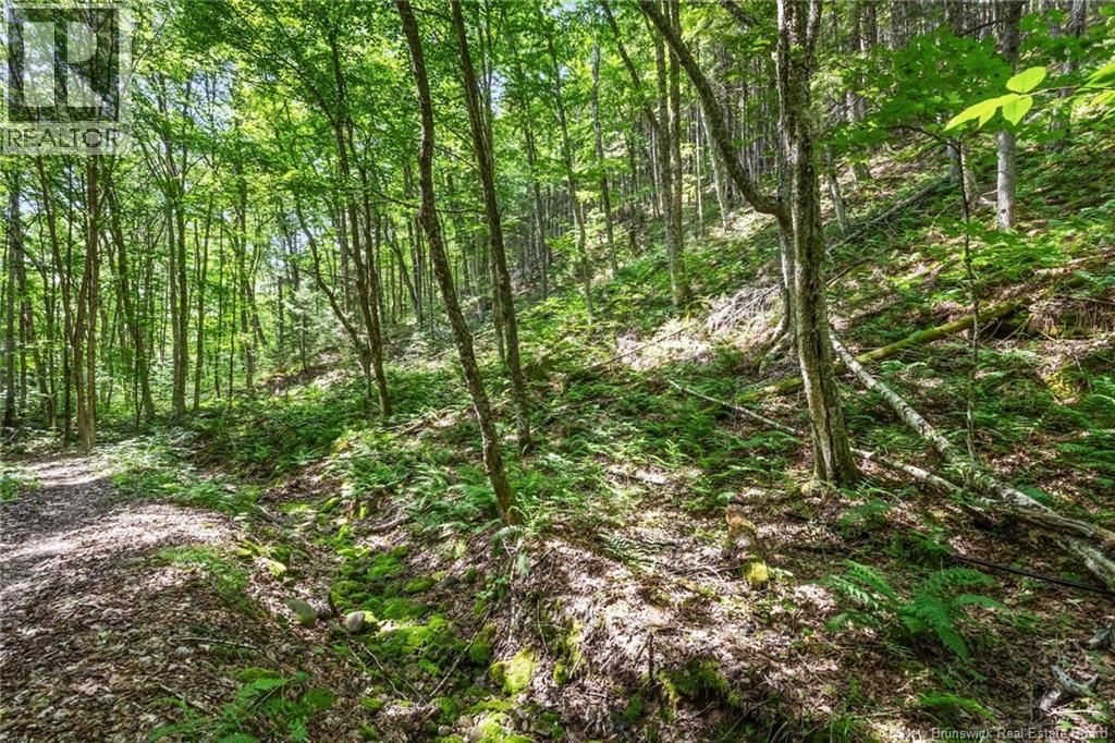 1403 Storeytown Road, Storeytown, New Brunswick  E9C 1V5 - Photo 39 - NB144024