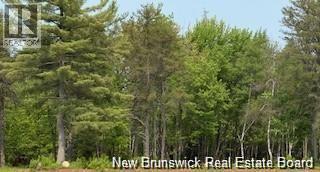 Lot Wegesegum Road, Chipman, New Brunswick O0O 0O0 - Photo 10 - NB144366