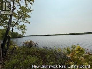 Lot Wegesegum Road, Chipman, New Brunswick O0O 0O0 - Photo 11 - NB144366