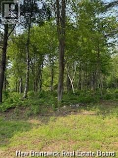 Lot Wegesegum Road, Chipman, New Brunswick O0O 0O0 - Photo 13 - NB144366