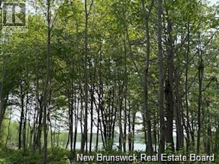 Lot Wegesegum Road, Chipman, New Brunswick O0O 0O0 - Photo 15 - NB144366