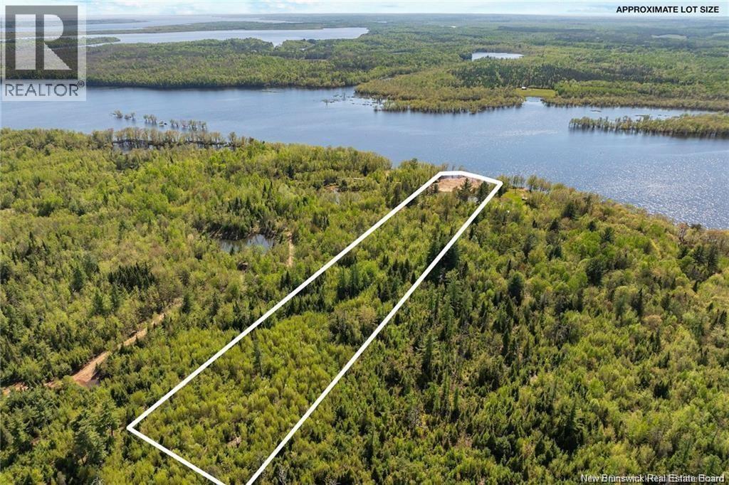 Lot Wegesegum Road, Chipman, New Brunswick O0O 0O0 - Photo 5 - NB144366
