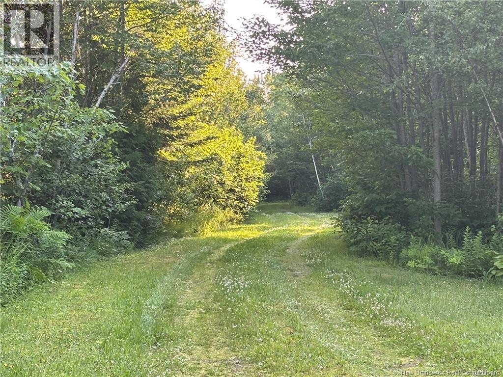 848 C+b Rue Principale, Beresford, New Brunswick  E8K 2G7 - Photo 7 - NB144364