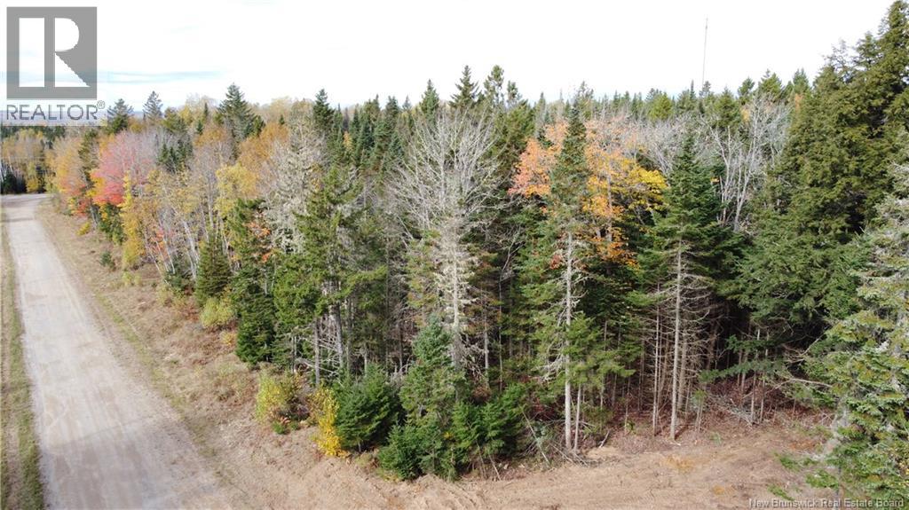 Lot 26-2 Glencoe Road, Nashwaak Bridge, New Brunswick  E6C 1T5 - Photo 16 - NB144481