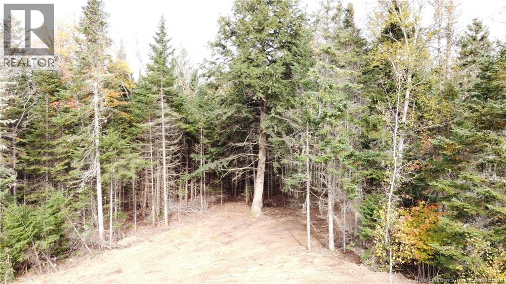 Lot 26-2 Glencoe Road, Nashwaak Bridge, New Brunswick  E6C 1T5 - Photo 17 - NB144481