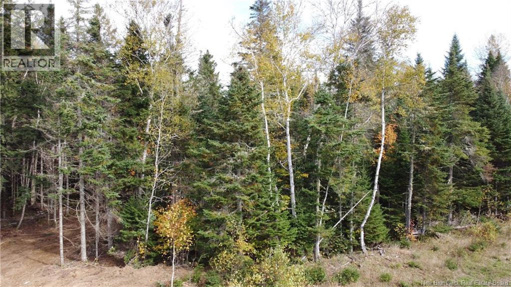 Lot 26-2 Glencoe Road, Nashwaak Bridge, New Brunswick  E6C 1T5 - Photo 18 - NB144481