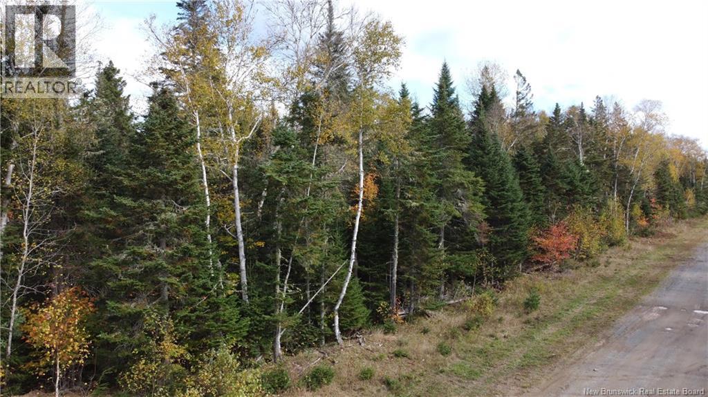 Lot 26-2 Glencoe Road, Nashwaak Bridge, New Brunswick  E6C 1T5 - Photo 19 - NB144481
