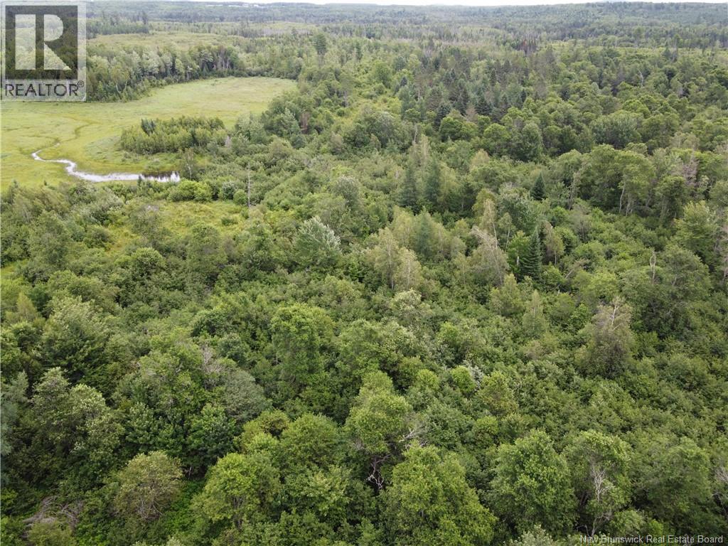 0000 Blowdown Rd, Union Corner, New Brunswick  E7N 2G3 - Photo 2 - NB144392