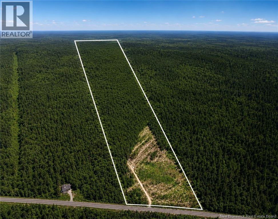 Lot 116 Highway, Harcourt, New Brunswick  E4T 2W9 - Photo 1 - NB143945