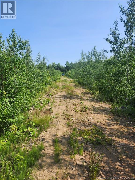 Lot 116 Highway, Harcourt, New Brunswick  E4T 2W9 - Photo 2 - NB143945