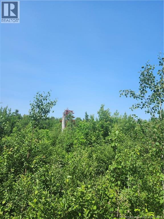 Lot 116 Highway, Harcourt, New Brunswick  E4T 2W9 - Photo 3 - NB143945