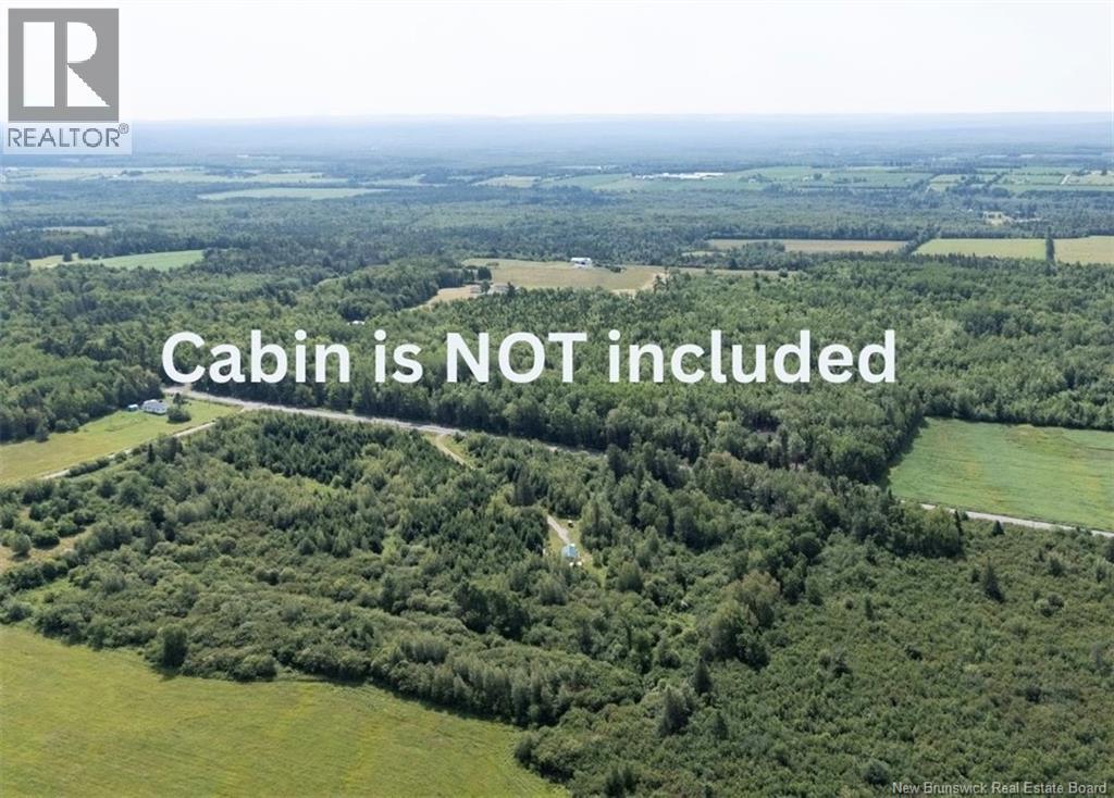 Lot Route 880, Lewis Mountain, New Brunswick  E4J 3N1 - Photo 3 - NB144607