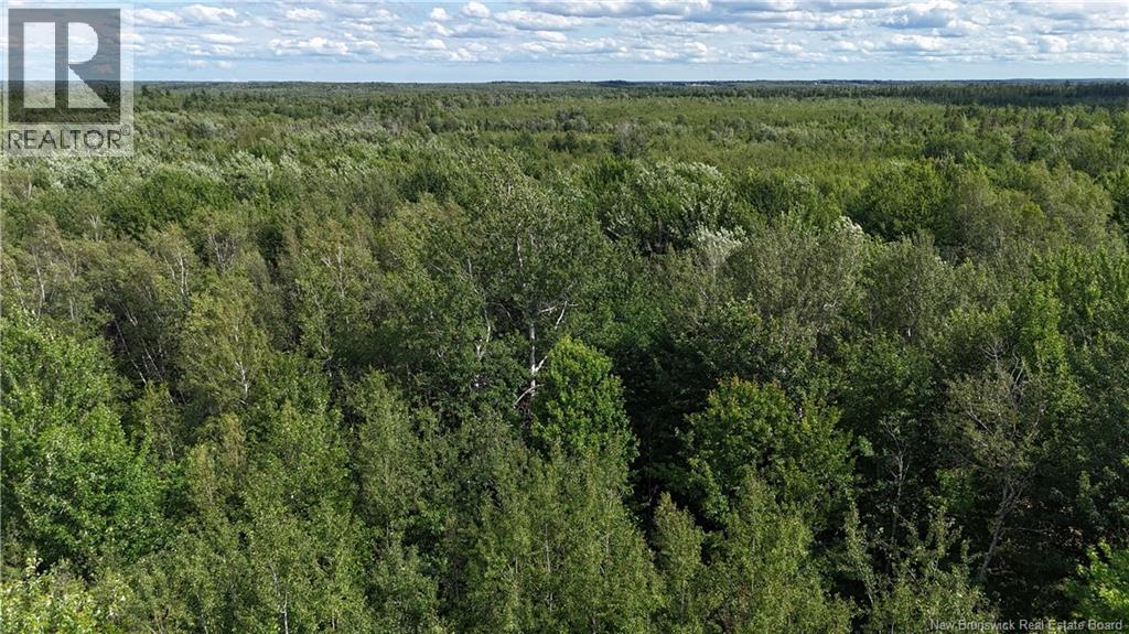 Lot 21-2 St-Augustin, Adamsville, New Brunswick  E4T 2E9 - Photo 1 - NB144596