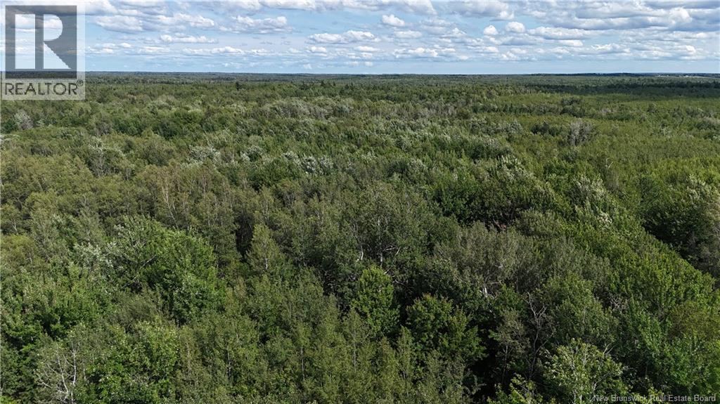 Lot 21-2 St-Augustin, Adamsville, New Brunswick  E4T 2E9 - Photo 10 - NB144596