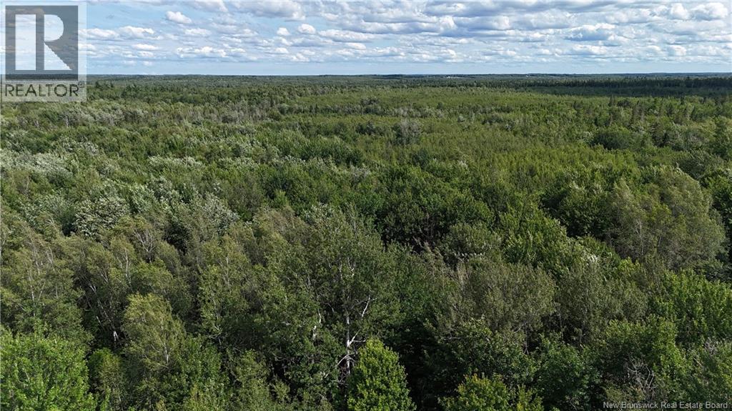 Lot 21-2 St-Augustin, Adamsville, New Brunswick  E4T 2E9 - Photo 9 - NB144596