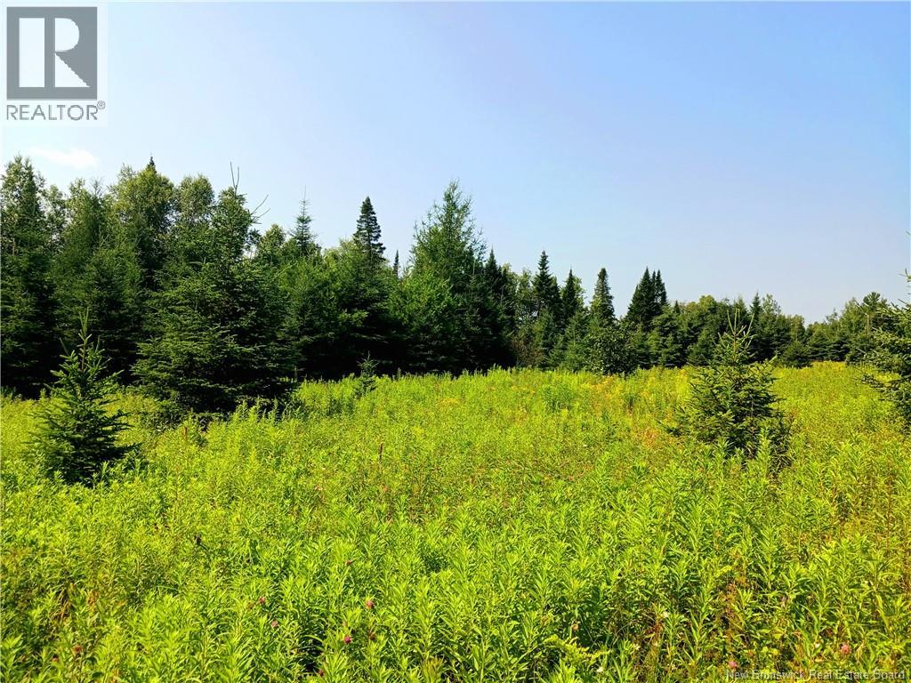 1496 Route 390, Gladwyn, New Brunswick
