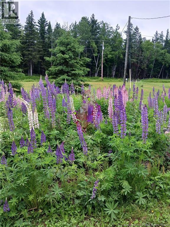 1496 Route 390, Gladwyn, New Brunswick  E7H 4R7 - Photo 10 - NB144656