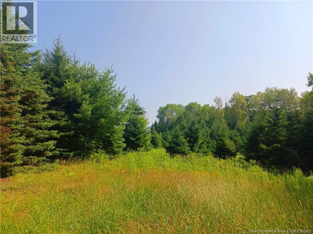 1496 Route 390, Gladwyn, New Brunswick  E7H 4R7 - Photo 3 - NB144656