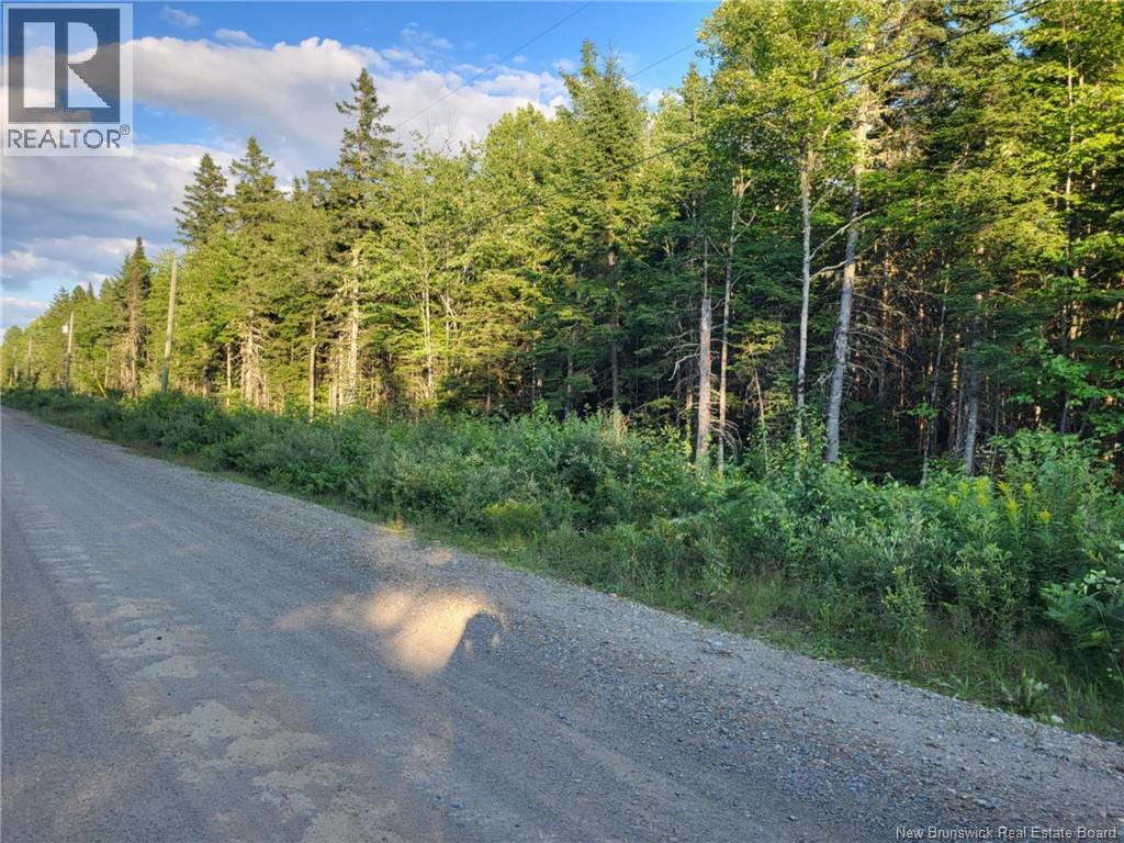 Lot M Zionville Road, Taymouth, New Brunswick  E6C 1Y5 - Photo 2 - NB144736