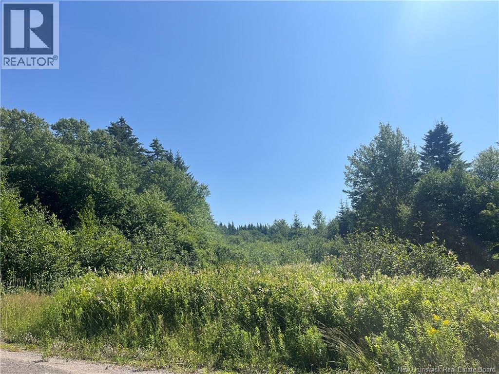 Lot Rabbit Road, Midway, New Brunswick  E4H 3R6 - Photo 2 - NB144797