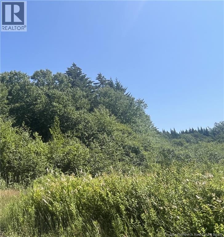 Lot Rabbit Road, Midway, New Brunswick  E4H 3R6 - Photo 3 - NB144797
