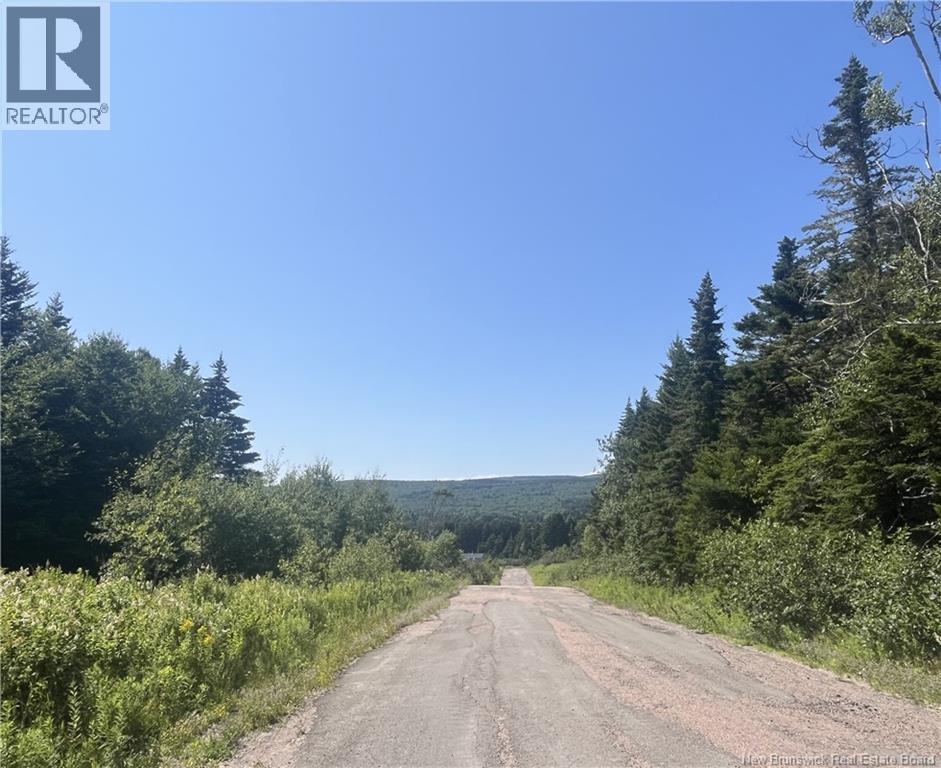 Lot Rabbit Road, Midway, New Brunswick  E4H 3R6 - Photo 4 - NB144797