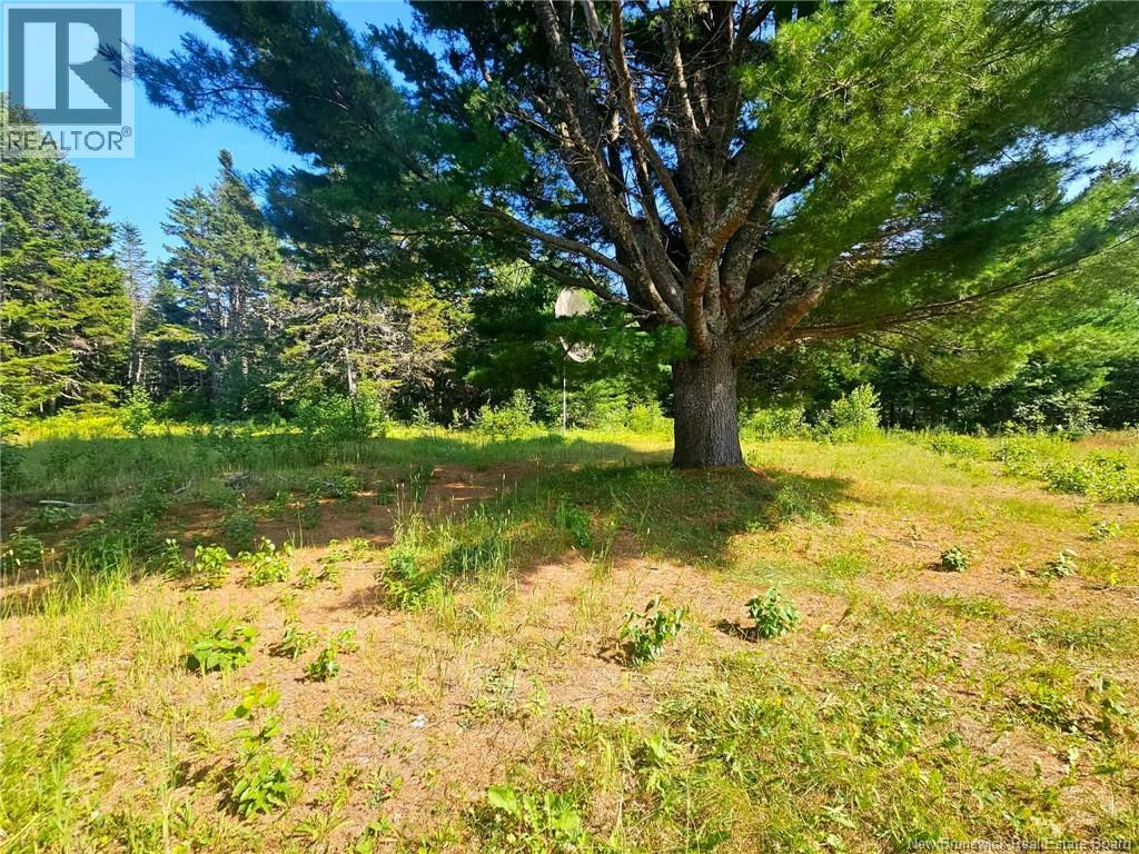 144 Stymiest, Neguac, New Brunswick E9G 1Y1 - Photo 29 - NB144946