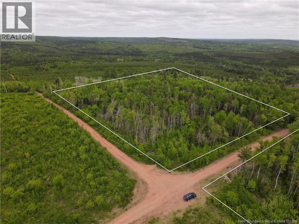 Lot Cemetery Road, Whites Mountain, New Brunswick  E4G 2M4 - Photo 2 - NB145089