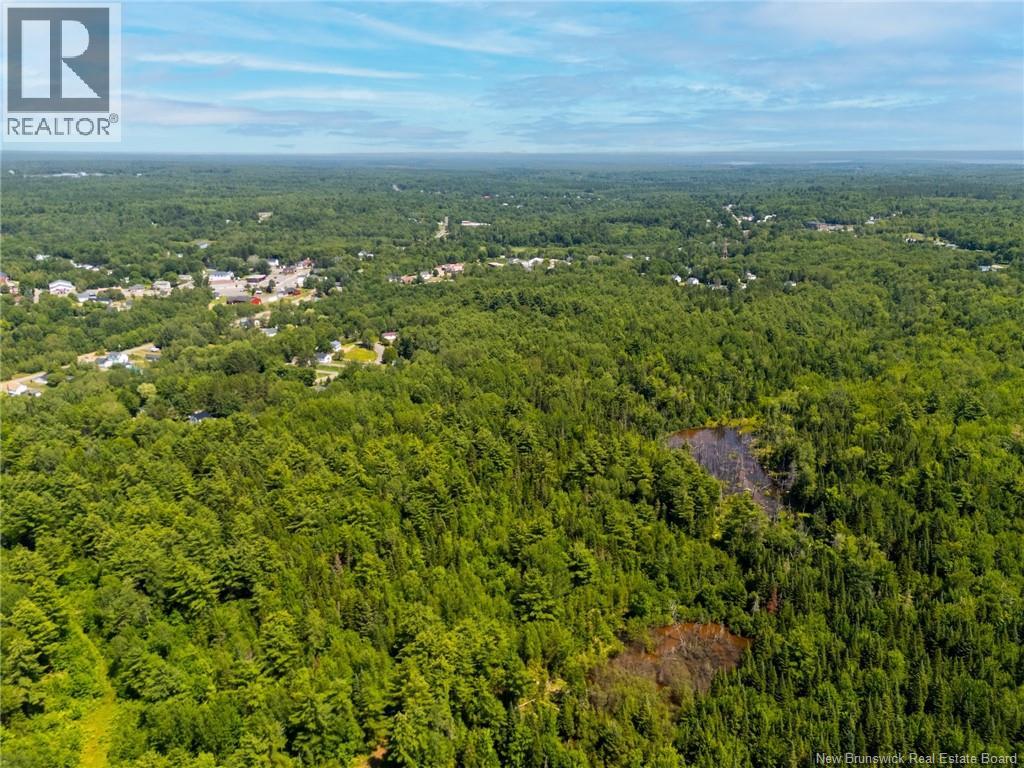 Lot Hill Street, Minto, New Brunswick E4B 3N3 - Photo 4 - NB144308
