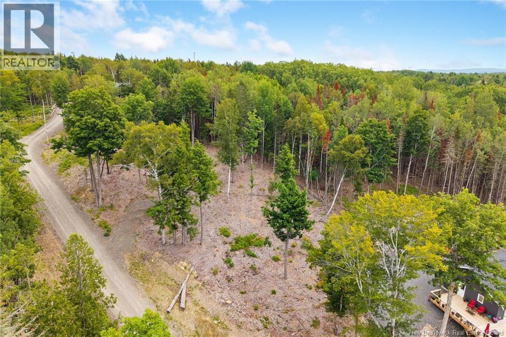 / Robert's Way, Keswick Ridge, New Brunswick E6L 0C6 - Photo 10 - NB145160