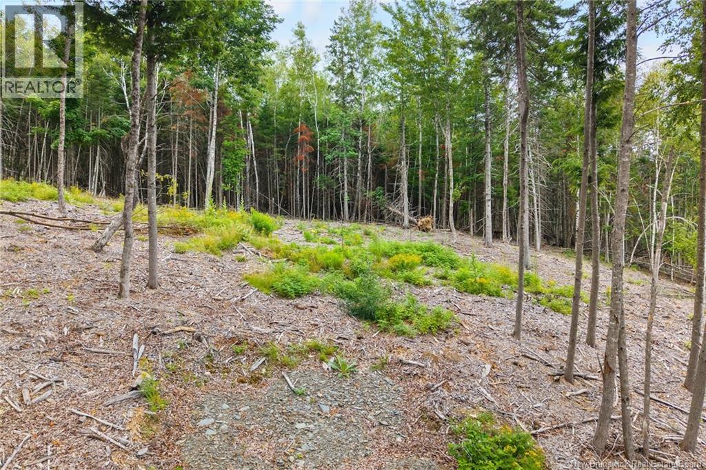 / Robert's Way, Keswick Ridge, New Brunswick E6L 0C6 - Photo 14 - NB145160