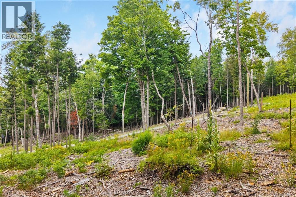 / Robert's Way, Keswick Ridge, New Brunswick E6L 0C6 - Photo 16 - NB145160