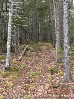 Lot 86-1 Route 114, Stoney Creek, New Brunswick E1J 1N1 - Photo 9 - NB144737