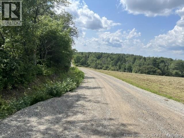 Lot Arnold Little Road, Harvey, New Brunswick E6K 1S5 - Photo 6 - NB145422