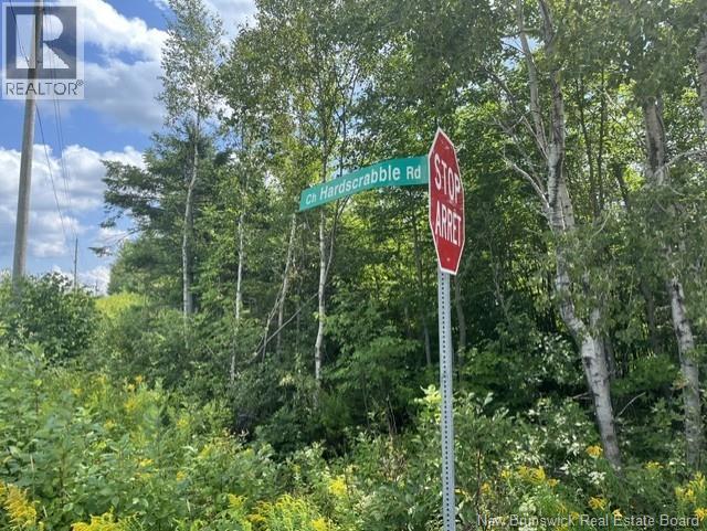 Lot Arnold Little Road, Harvey, New Brunswick E6K 1S5 - Photo 7 - NB145422