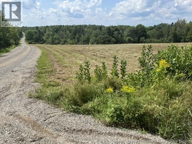 Lot Arnold Little Road, Harvey, New Brunswick E6K 1S5 - Photo 8 - NB145422