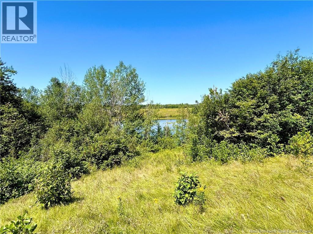 3036 Sq Mt Route 117, Black River Bridge, New Brunswick  E1N 5K5 - Photo 3 - NB145489