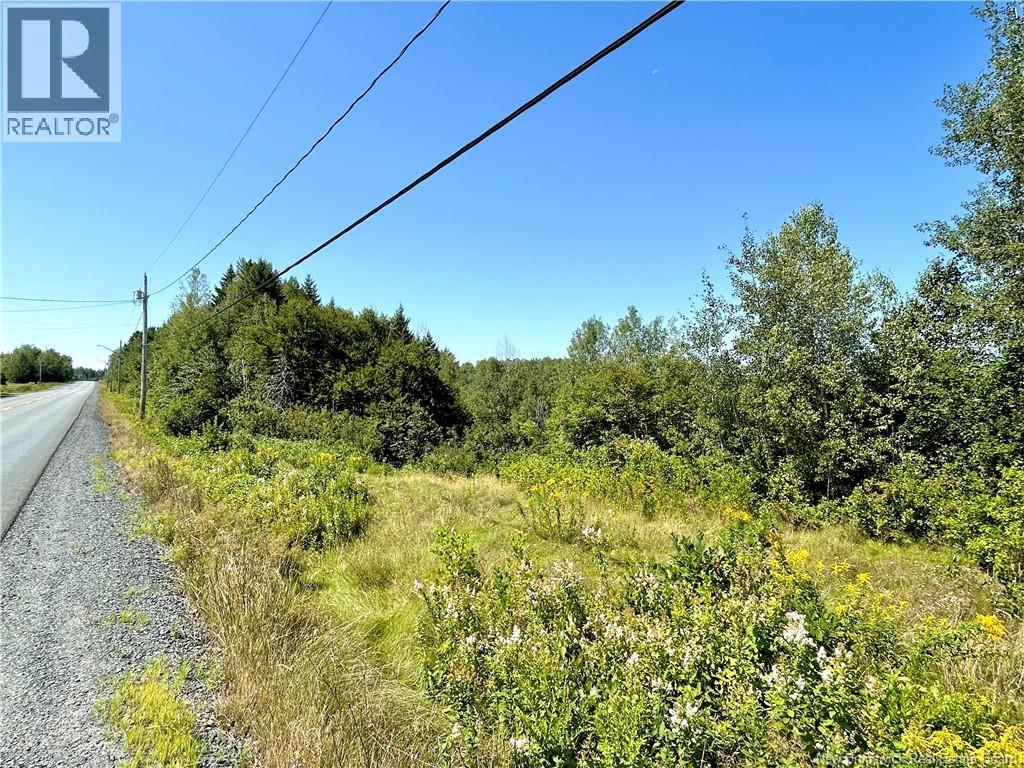 3036 Sq Mt Route 117, Black River Bridge, New Brunswick  E1N 5K5 - Photo 4 - NB145489