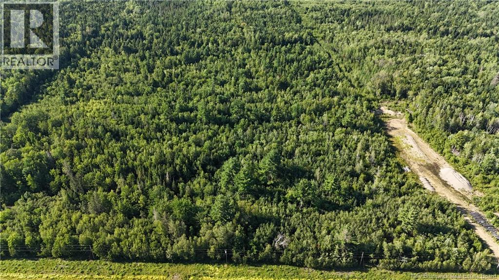 Woodlot Route 8, Blissfield, New Brunswick  E9C 1X5 - Photo 1 - NB145476