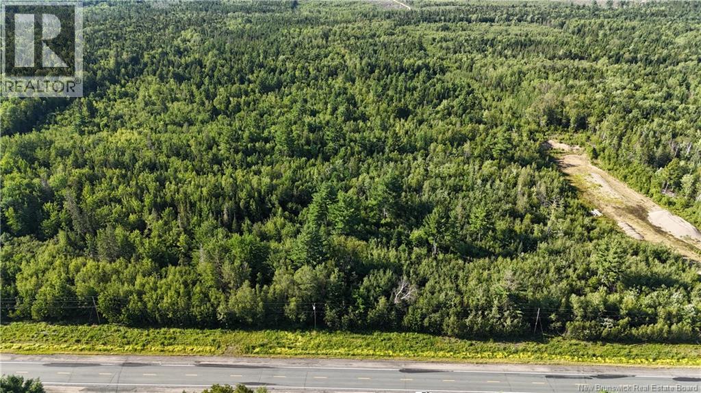 Woodlot Route 8, Blissfield, New Brunswick  E9C 1X5 - Photo 2 - NB145476