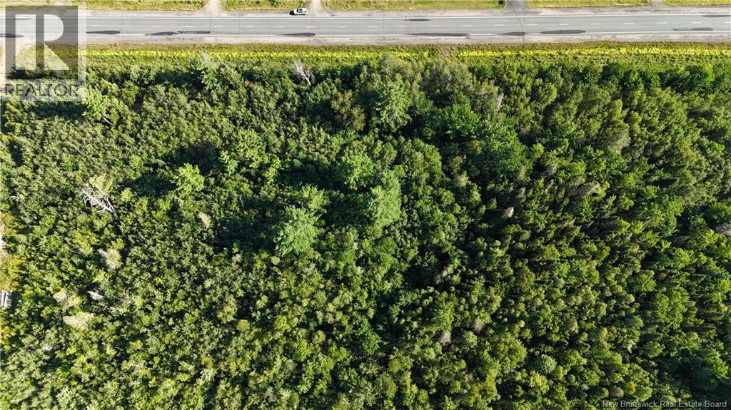 Woodlot Route 8, Blissfield, New Brunswick  E9C 1X5 - Photo 3 - NB145476