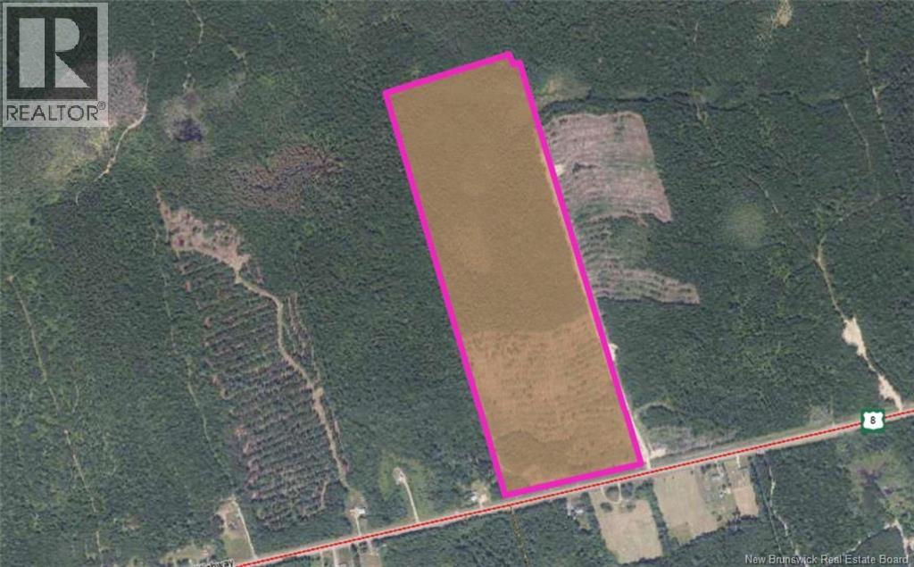 Woodlot Route 8, Blissfield, New Brunswick  E9C 1X5 - Photo 5 - NB145476