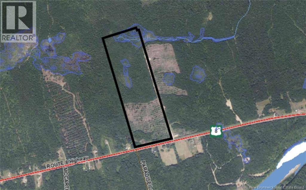 Woodlot Route 8, Blissfield, New Brunswick  E9C 1X5 - Photo 6 - NB145476
