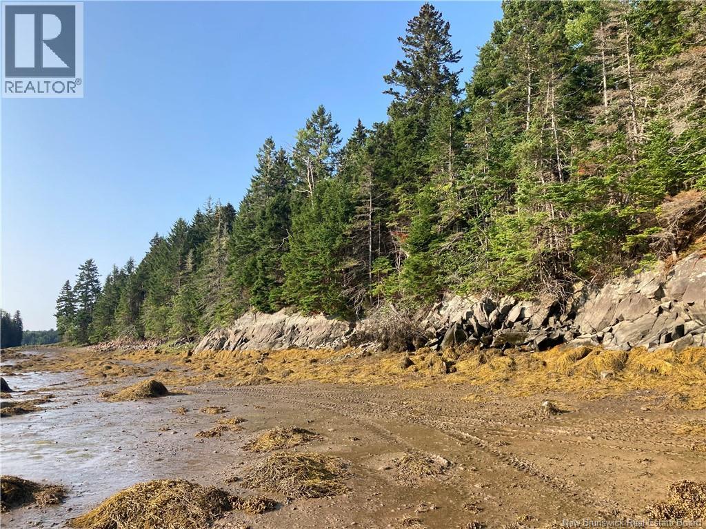 Lot Swimming Pool Road, Welshpool, New Brunswick E5E 1H5 - Photo 1 - NB145589