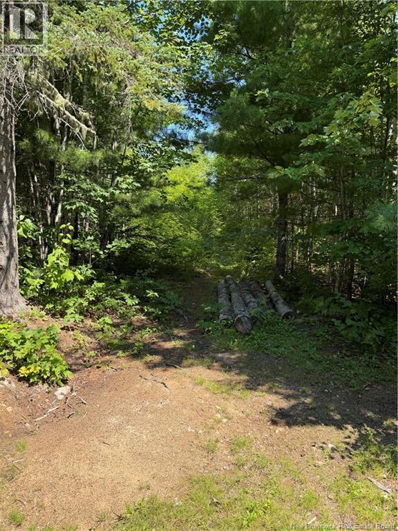 Camp Prosser Brook Road, Parkindale, New Brunswick  E4Z 2E5 - Photo 20 - NB145625