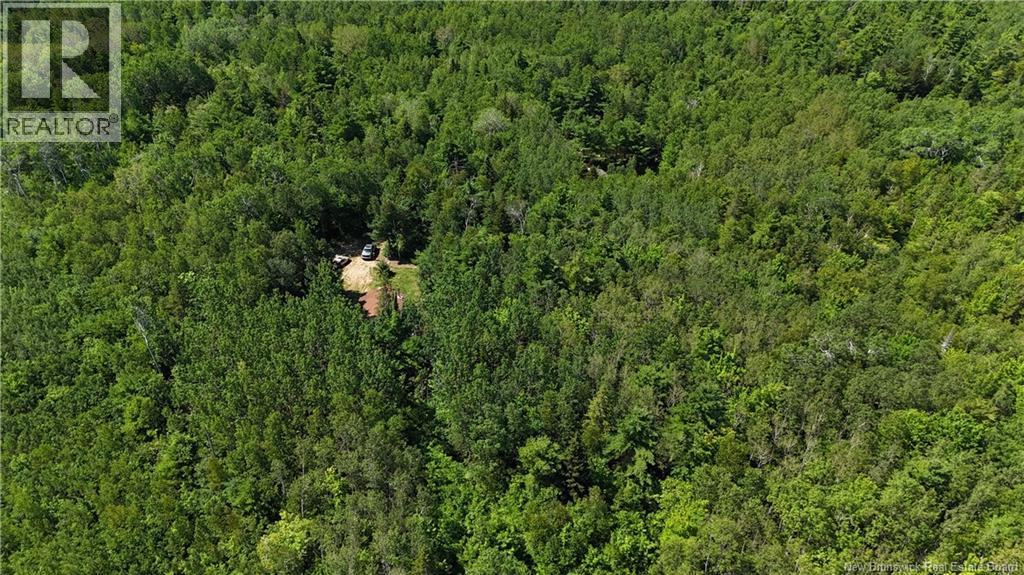 Camp Prosser Brook Road, Parkindale, New Brunswick  E4Z 2E5 - Photo 24 - NB145625