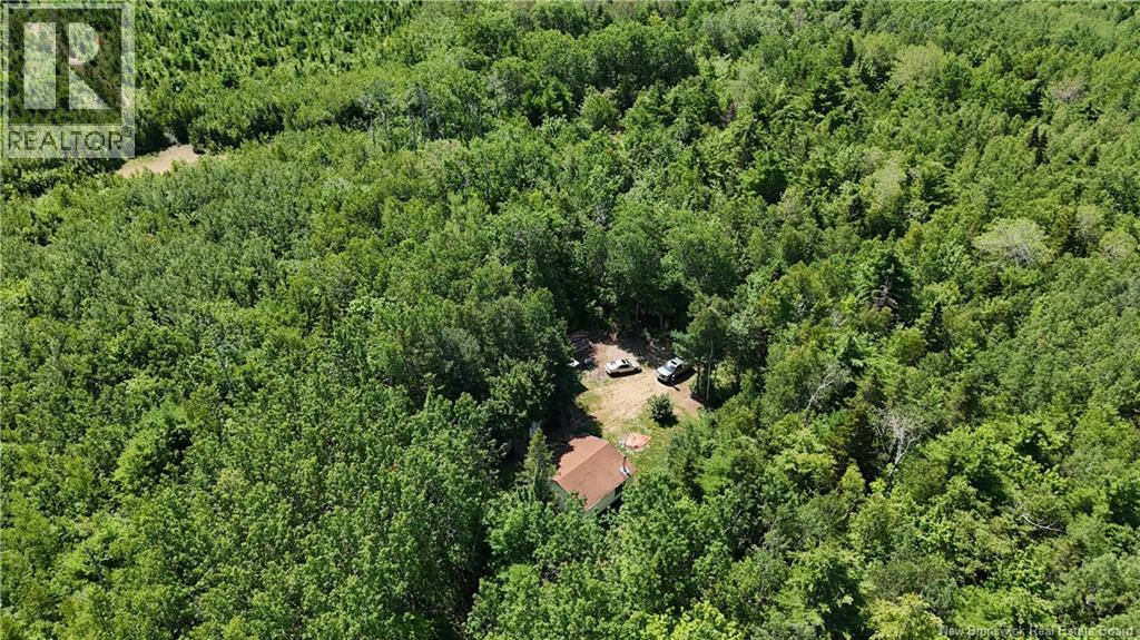 Camp Prosser Brook Road, Parkindale, New Brunswick  E4Z 2E5 - Photo 25 - NB145625