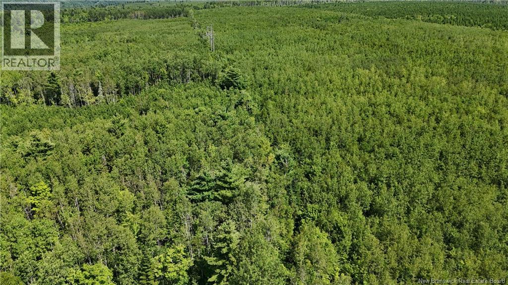 Camp Prosser Brook Road, Parkindale, New Brunswick  E4Z 2E5 - Photo 26 - NB145625
