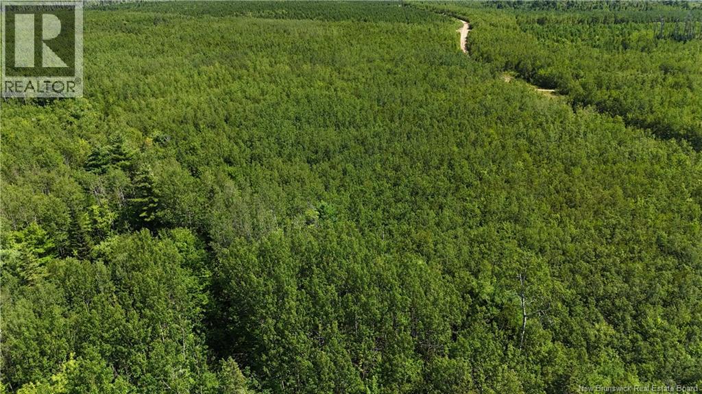 Camp Prosser Brook Road, Parkindale, New Brunswick  E4Z 2E5 - Photo 27 - NB145625
