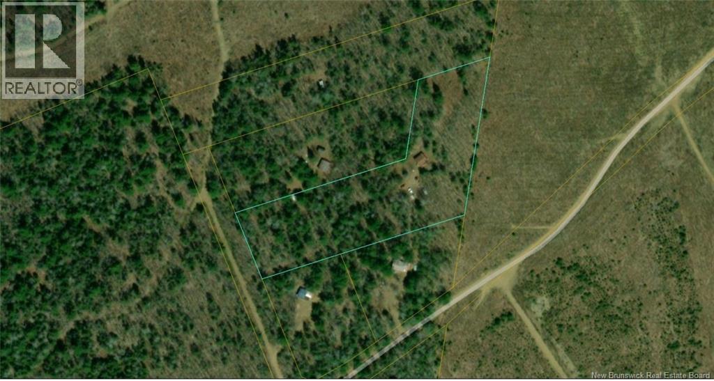 Camp Prosser Brook Road, Parkindale, New Brunswick  E4Z 2E5 - Photo 4 - NB145625